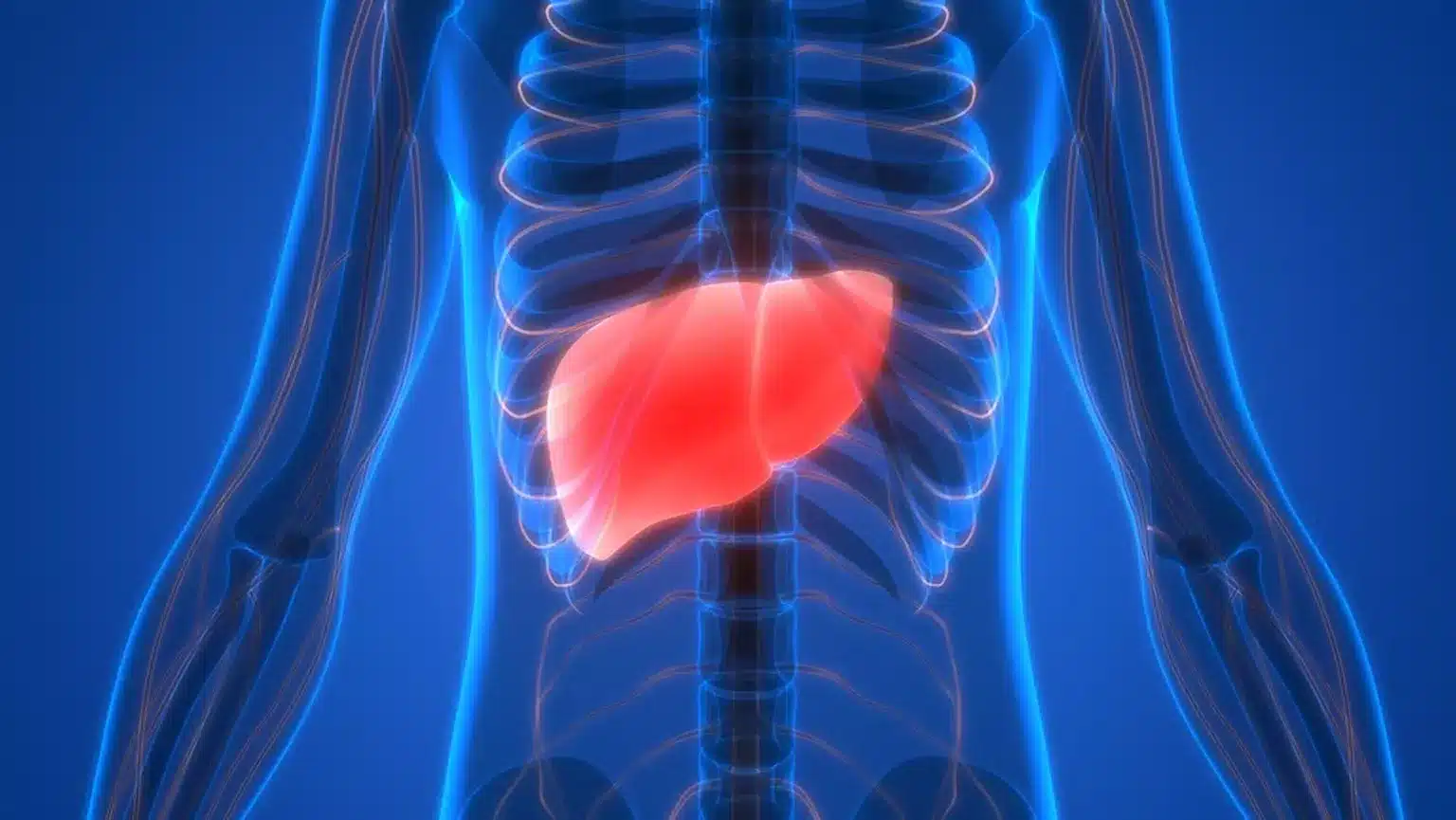 How Weight Loss Can Affect Non-Alcoholic Fatty Liver Disease