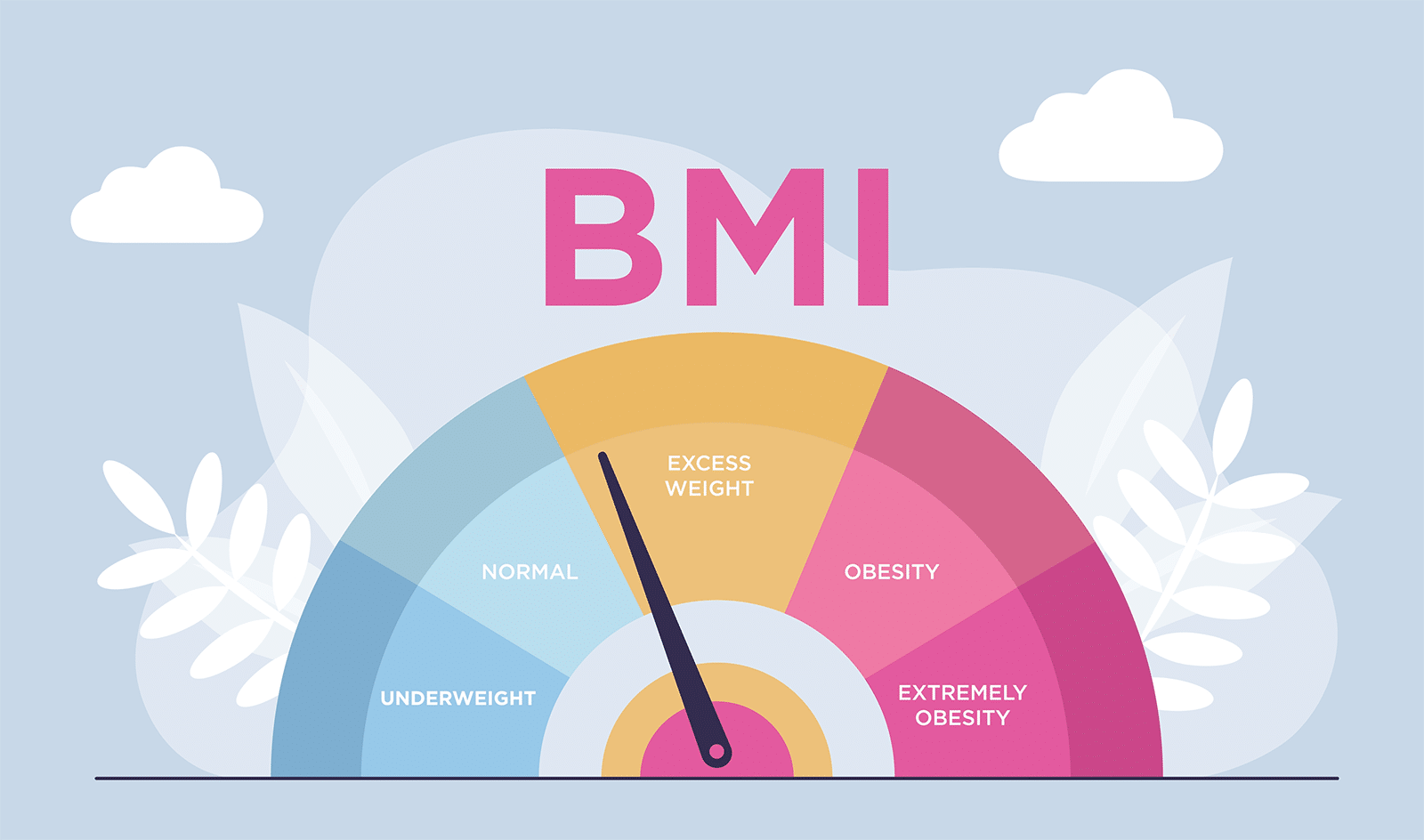 BMI Calculator: Healthy Weight Range and Beyond